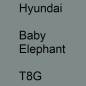 Preview: Hyundai, Baby Elephant, T8G.